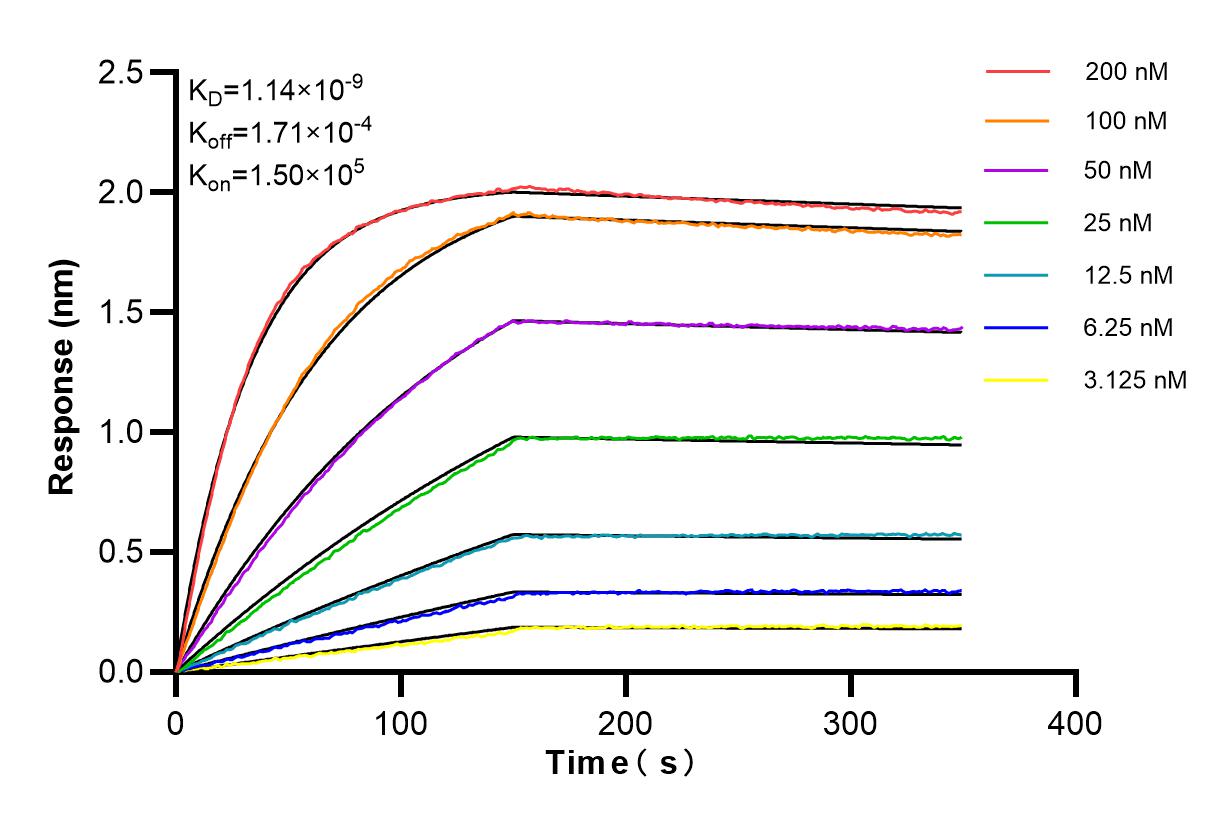 Affinity and Kinetic Characterization of 84109-1-RR