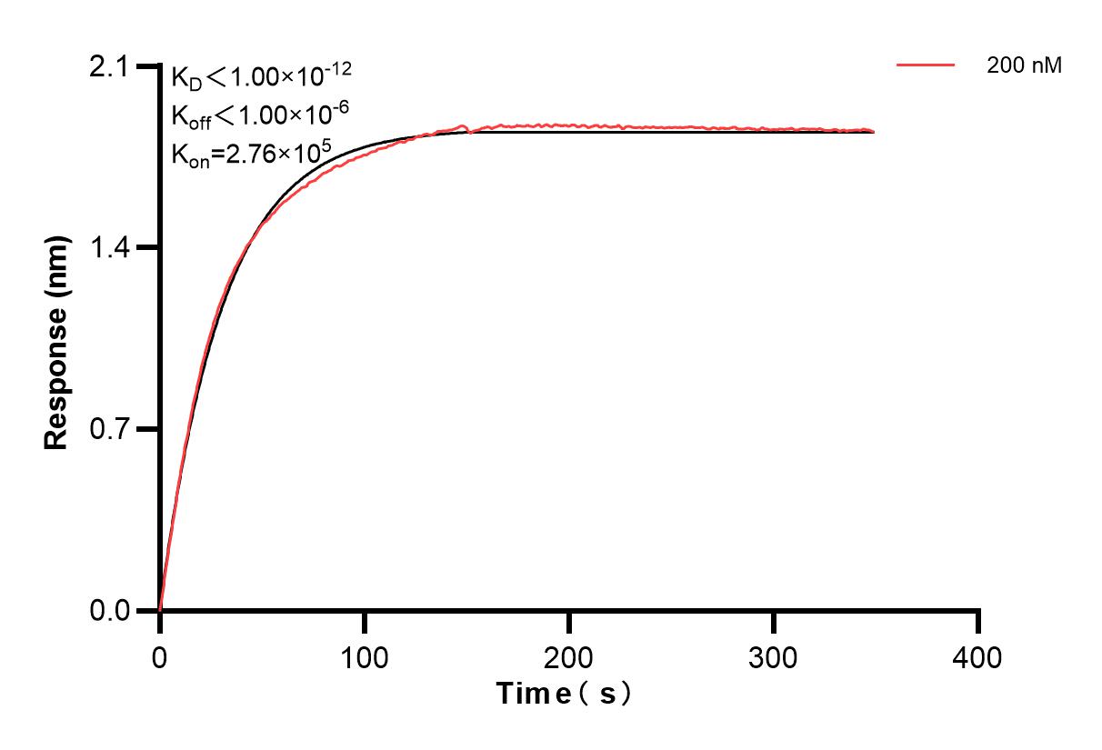 Affinity and Kinetic Characterization of 84115-4-PBS