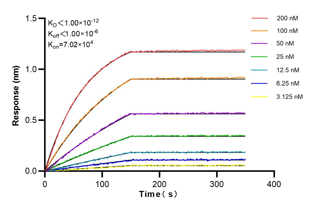 Affinity and Kinetic Characterization of 84121-5-RR