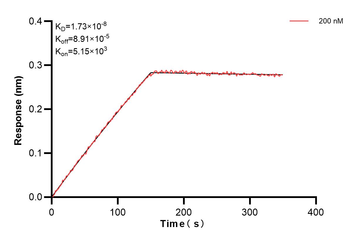 Affinity and Kinetic Characterization of 84129-3-PBS