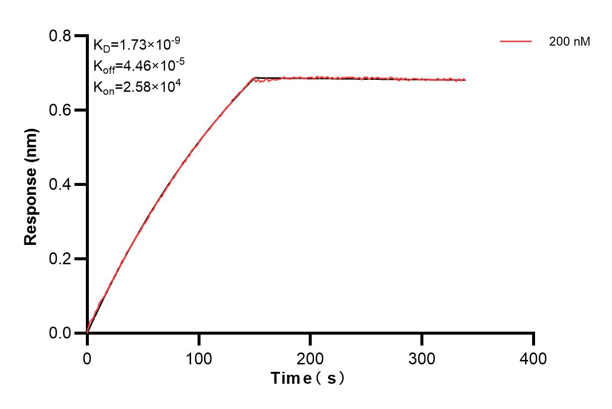 Affinity and Kinetic Characterization of 84130-1-PBS