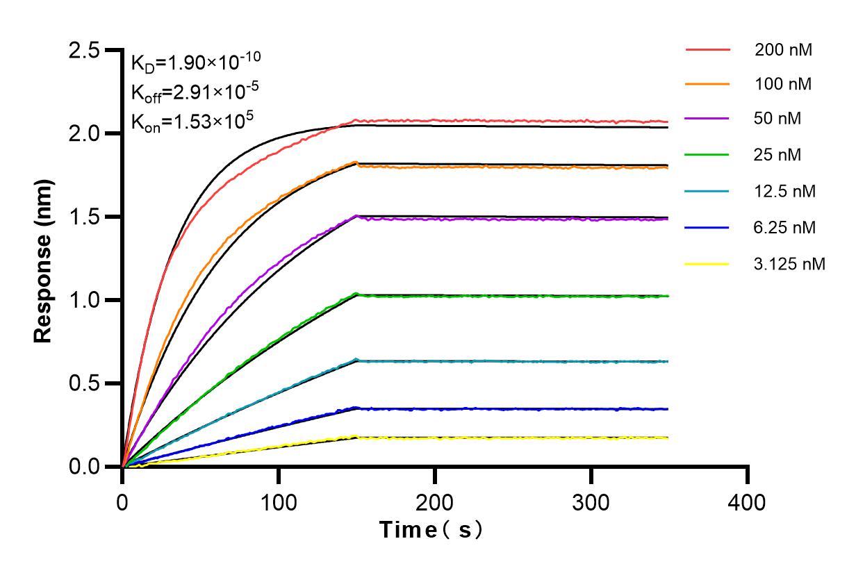 Affinity and Kinetic Characterization of 84135-4-RR