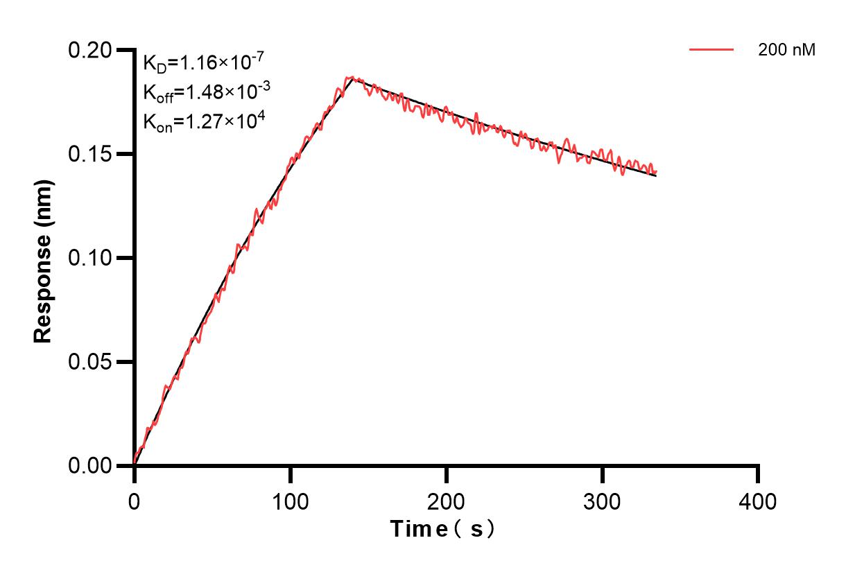 Affinity and Kinetic Characterization of 84140-1-PBS