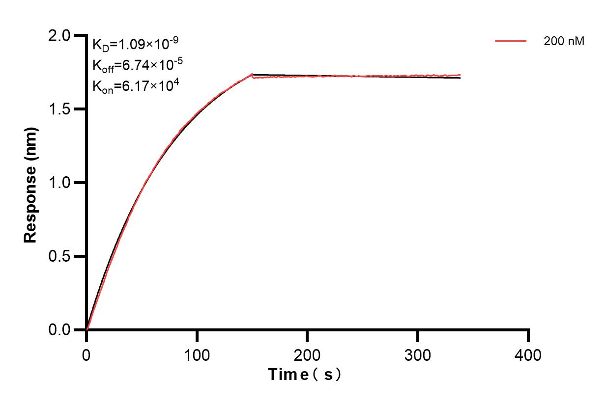 Affinity and Kinetic Characterization of 84151-3-PBS