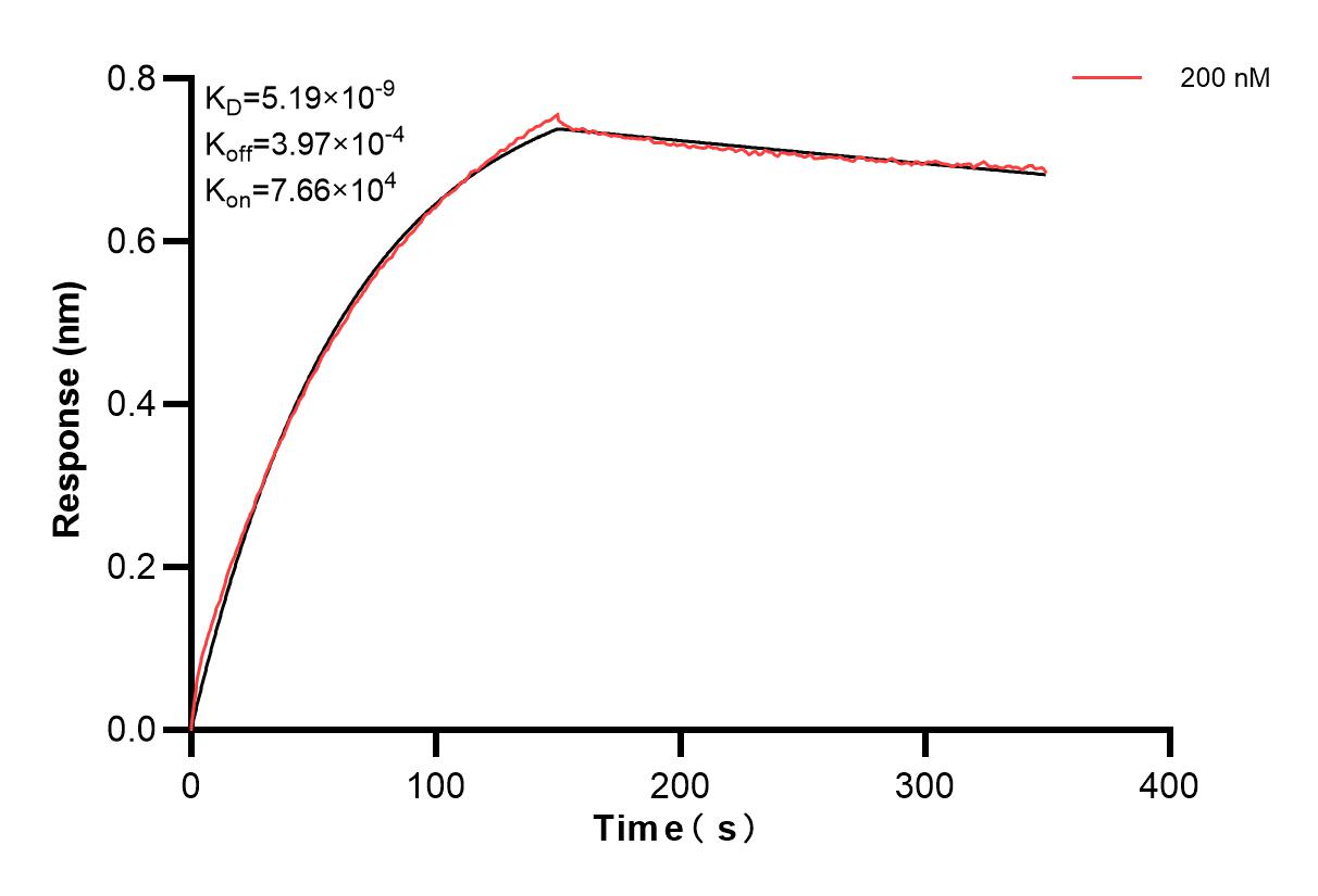 Affinity and Kinetic Characterization of 84153-3-PBS