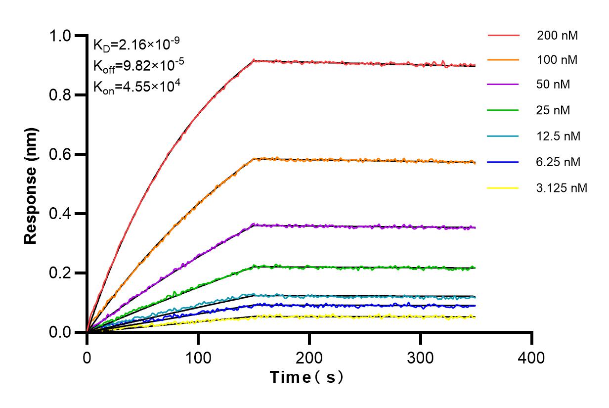 Affinity and Kinetic Characterization of 84153-5-RR