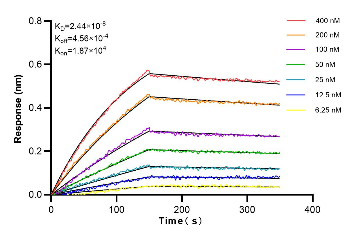 Affinity and Kinetic Characterization of 84155-6-RR