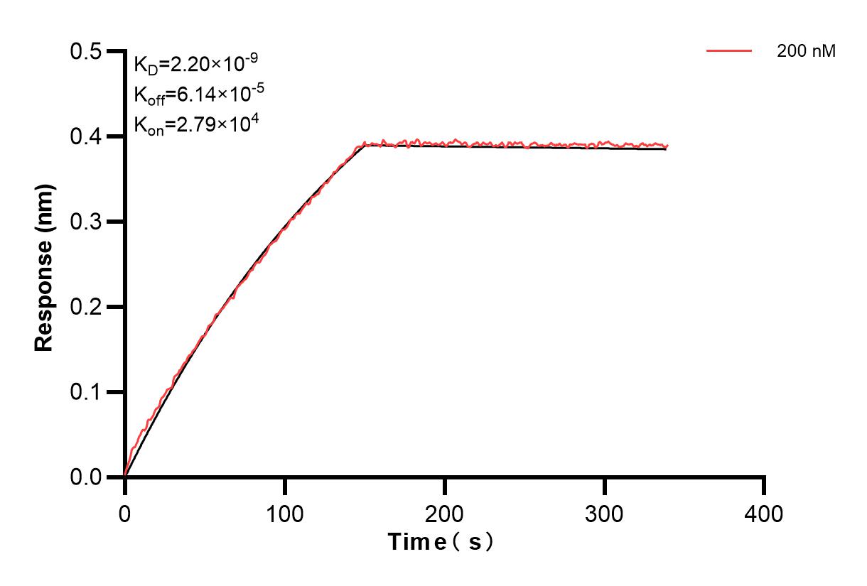 Affinity and Kinetic Characterization of 84159-1-PBS