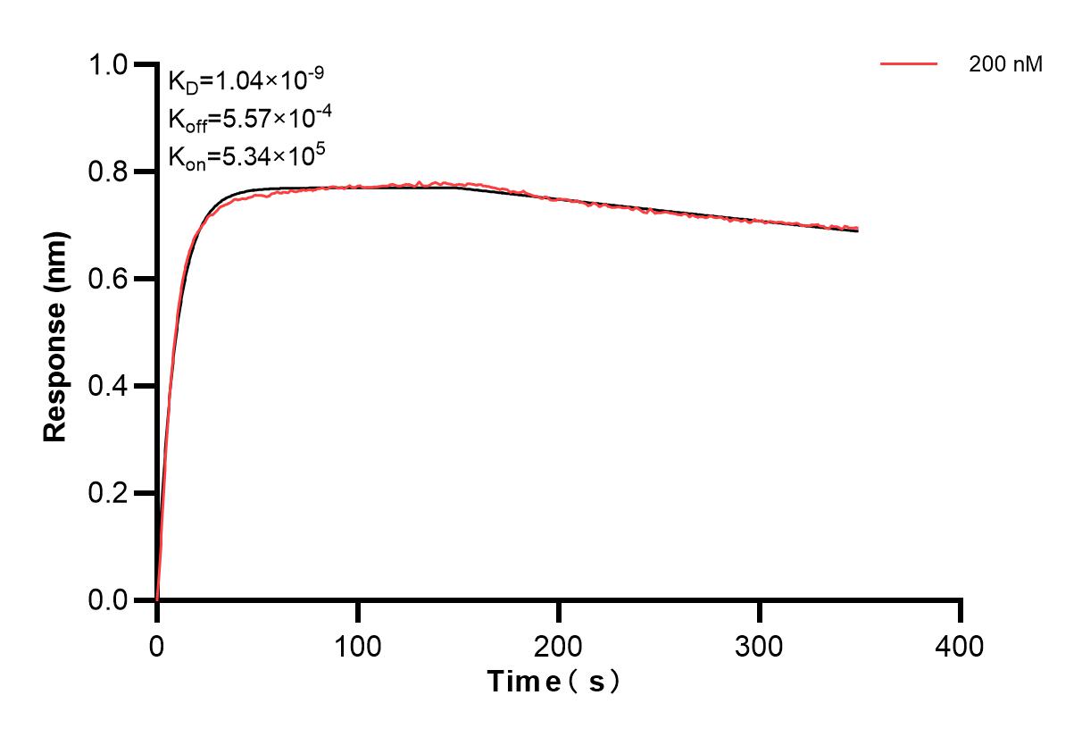 Affinity and Kinetic Characterization of 84159-2-PBS