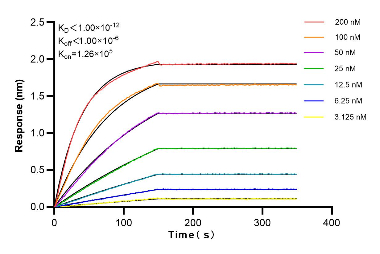 Affinity and Kinetic Characterization of 84160-3-RR