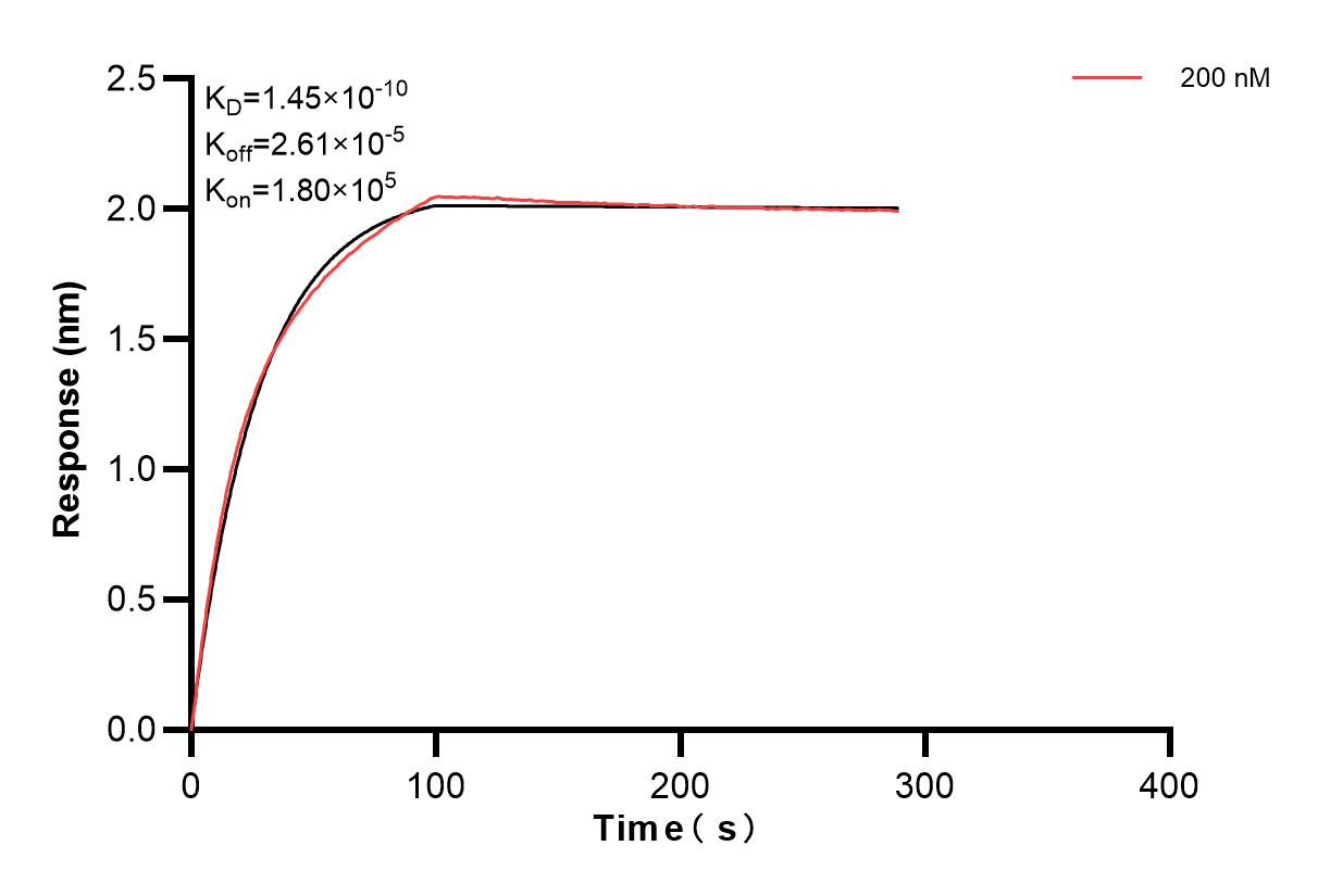 Affinity and Kinetic Characterization of 84162-1-PBS