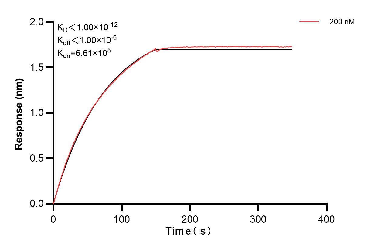 Affinity and Kinetic Characterization of 84164-2-PBS