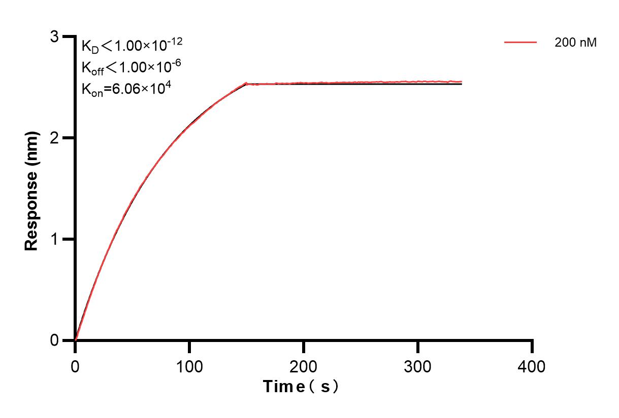 Affinity and Kinetic Characterization of 84169-1-PBS