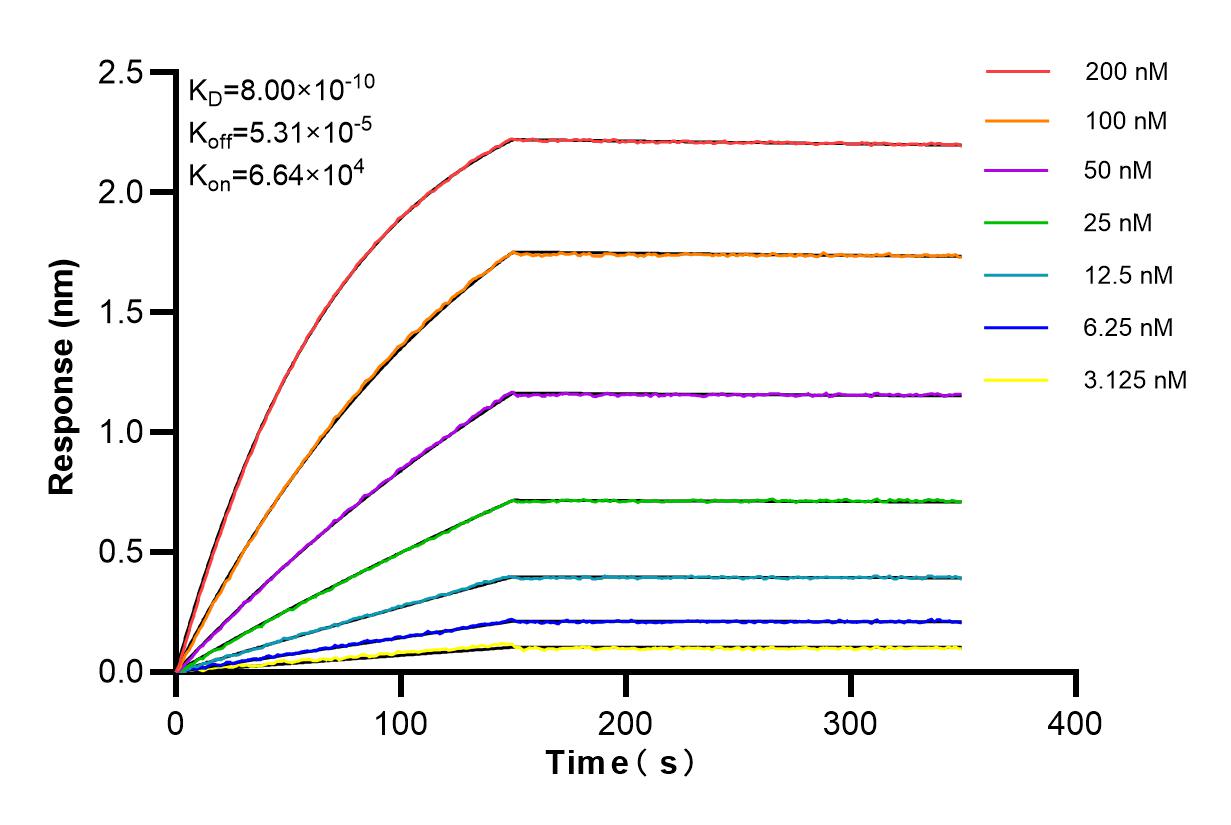 Affinity and Kinetic Characterization of 84172-4-RR