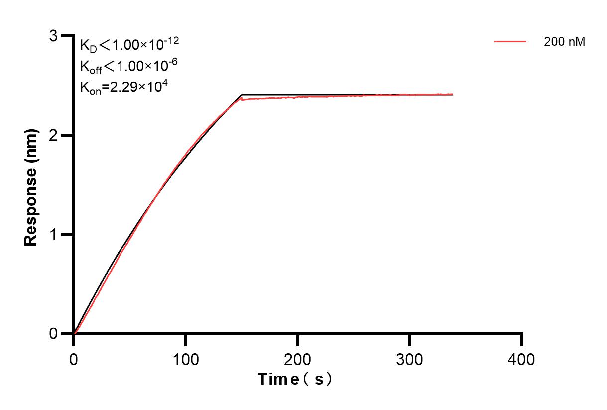 Affinity and Kinetic Characterization of 84173-2-PBS