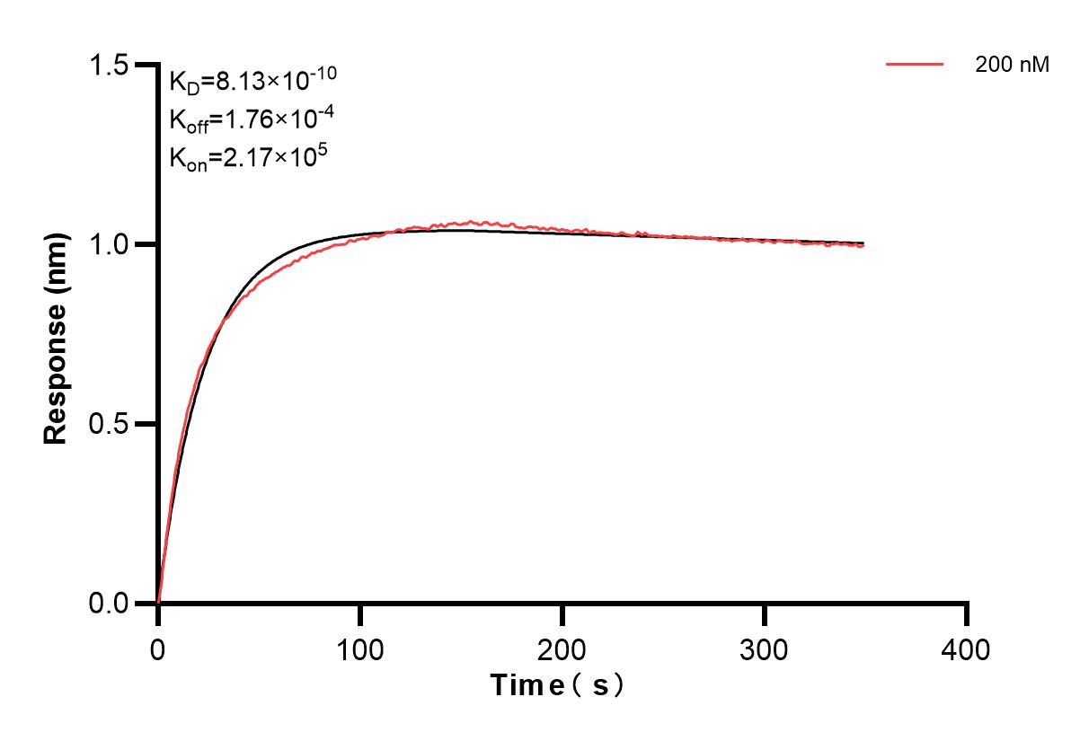 Affinity and Kinetic Characterization of 84182-3-PBS