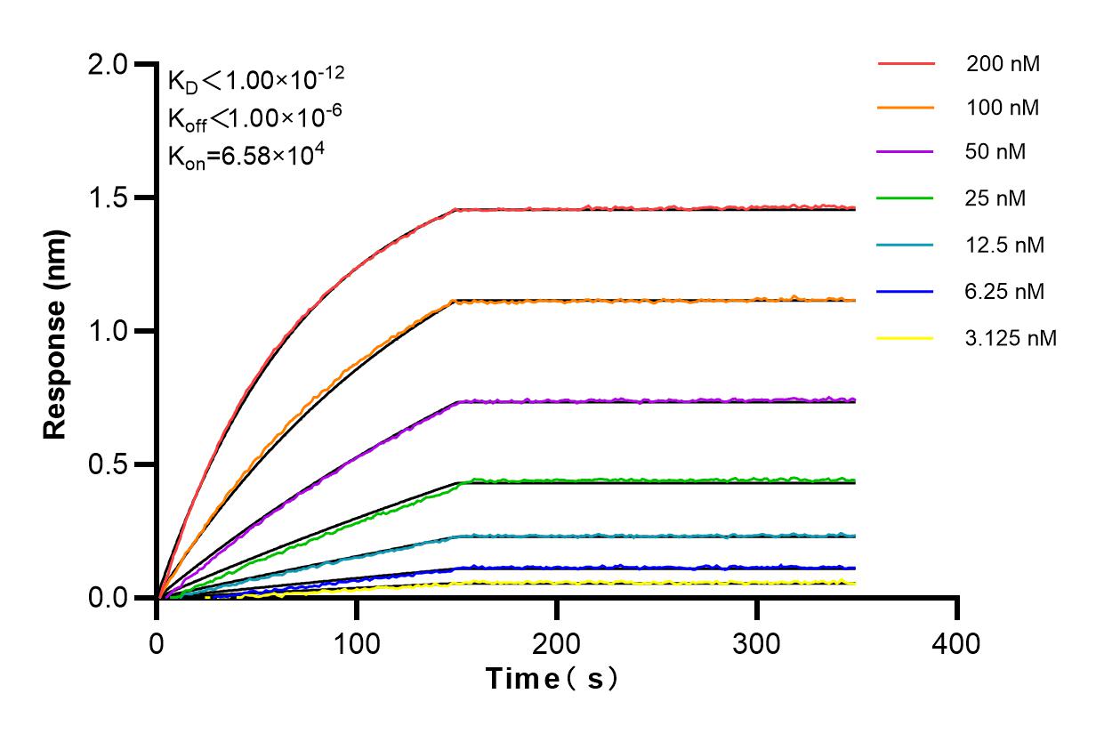 Affinity and Kinetic Characterization of 84184-4-RR