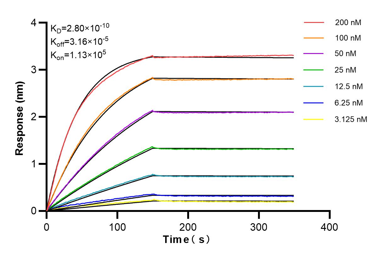 Affinity and Kinetic Characterization of 84189-4-RR