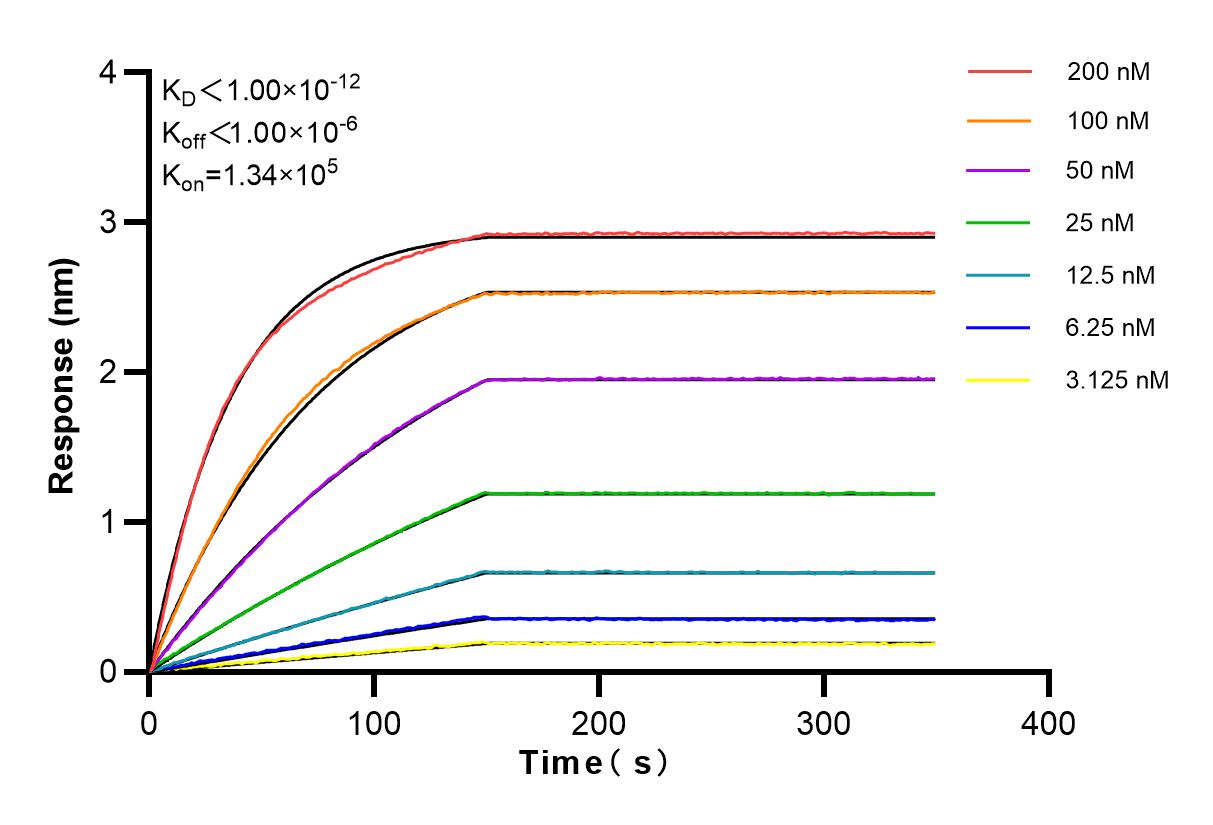 Affinity and Kinetic Characterization of 84190-7-RR