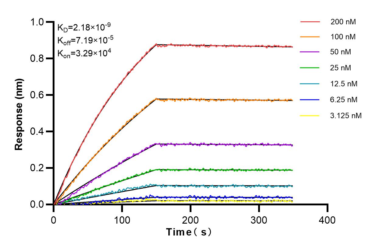 Affinity and Kinetic Characterization of 84204-5-RR