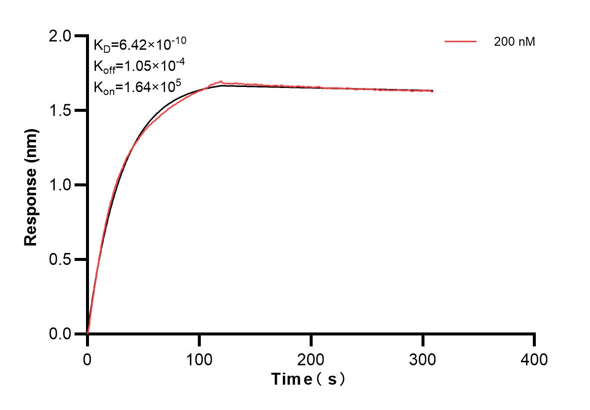 Affinity and Kinetic Characterization of 84208-1-PBS