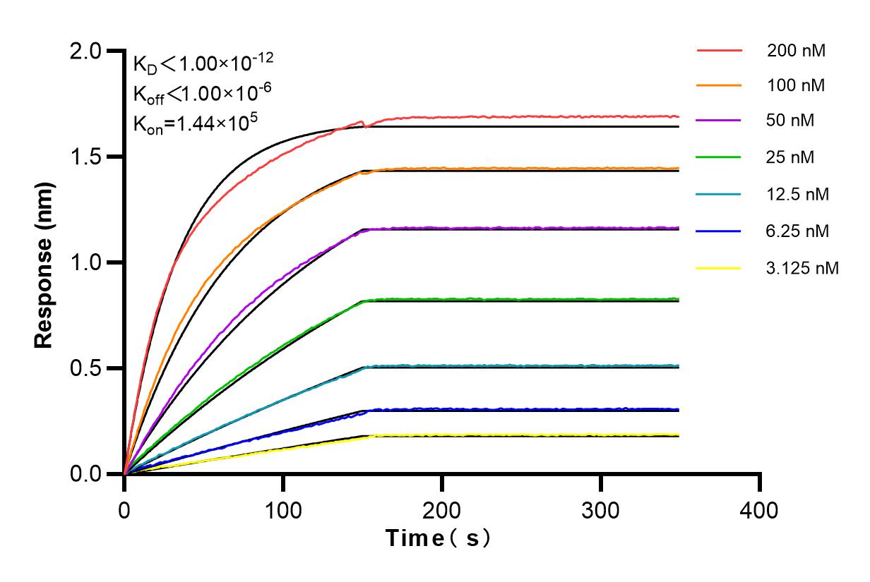 Affinity and Kinetic Characterization of 84208-2-RR