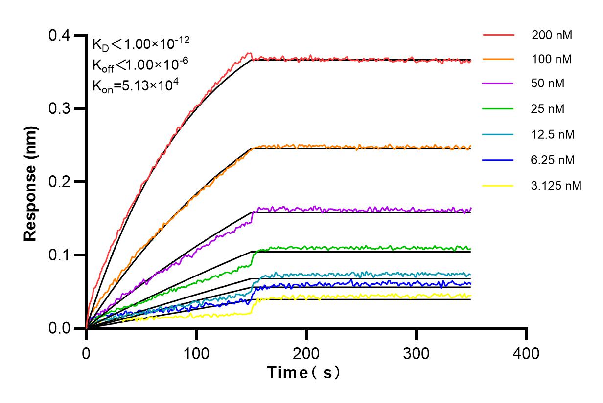 Affinity and Kinetic Characterization of 84209-4-RR