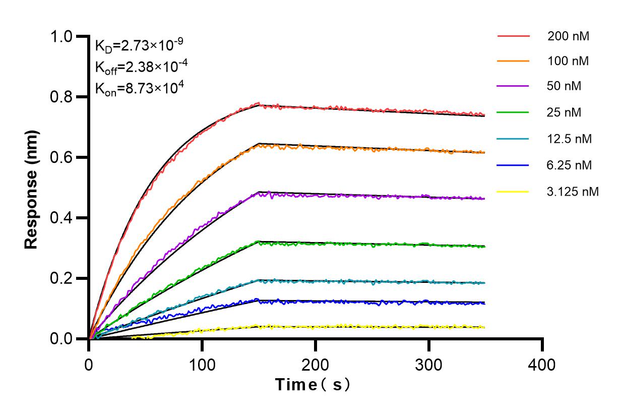 Affinity and Kinetic Characterization of 84211-4-RR