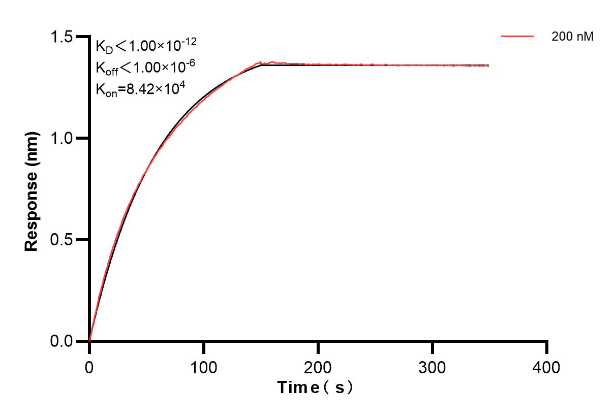 Affinity and Kinetic Characterization of 84213-2-PBS