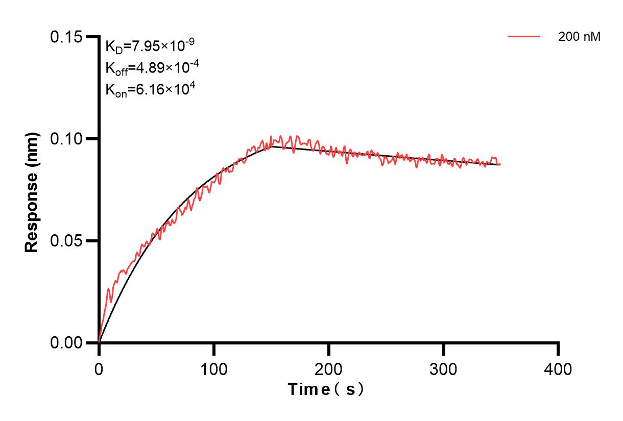 Affinity and Kinetic Characterization of 84218-2-PBS