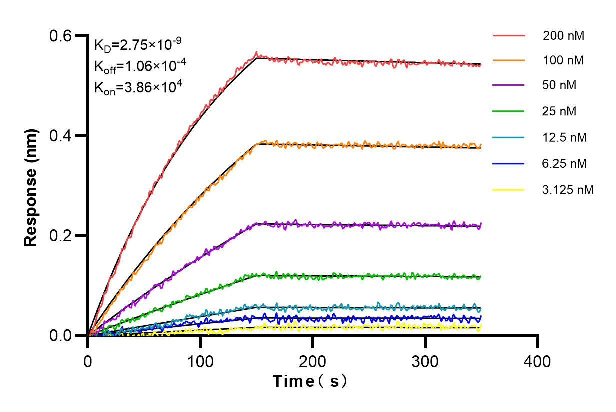 Affinity and Kinetic Characterization of 84221-1-RR