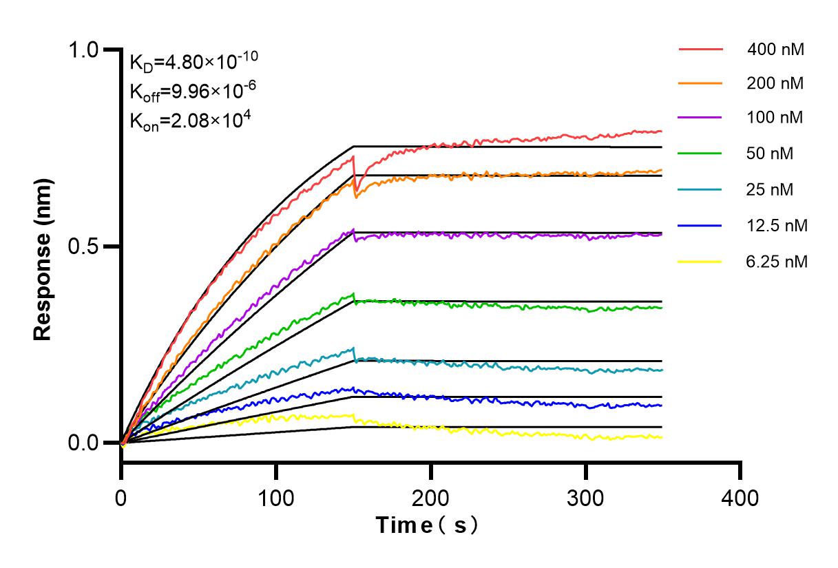 Affinity and Kinetic Characterization of 84225-2-RR