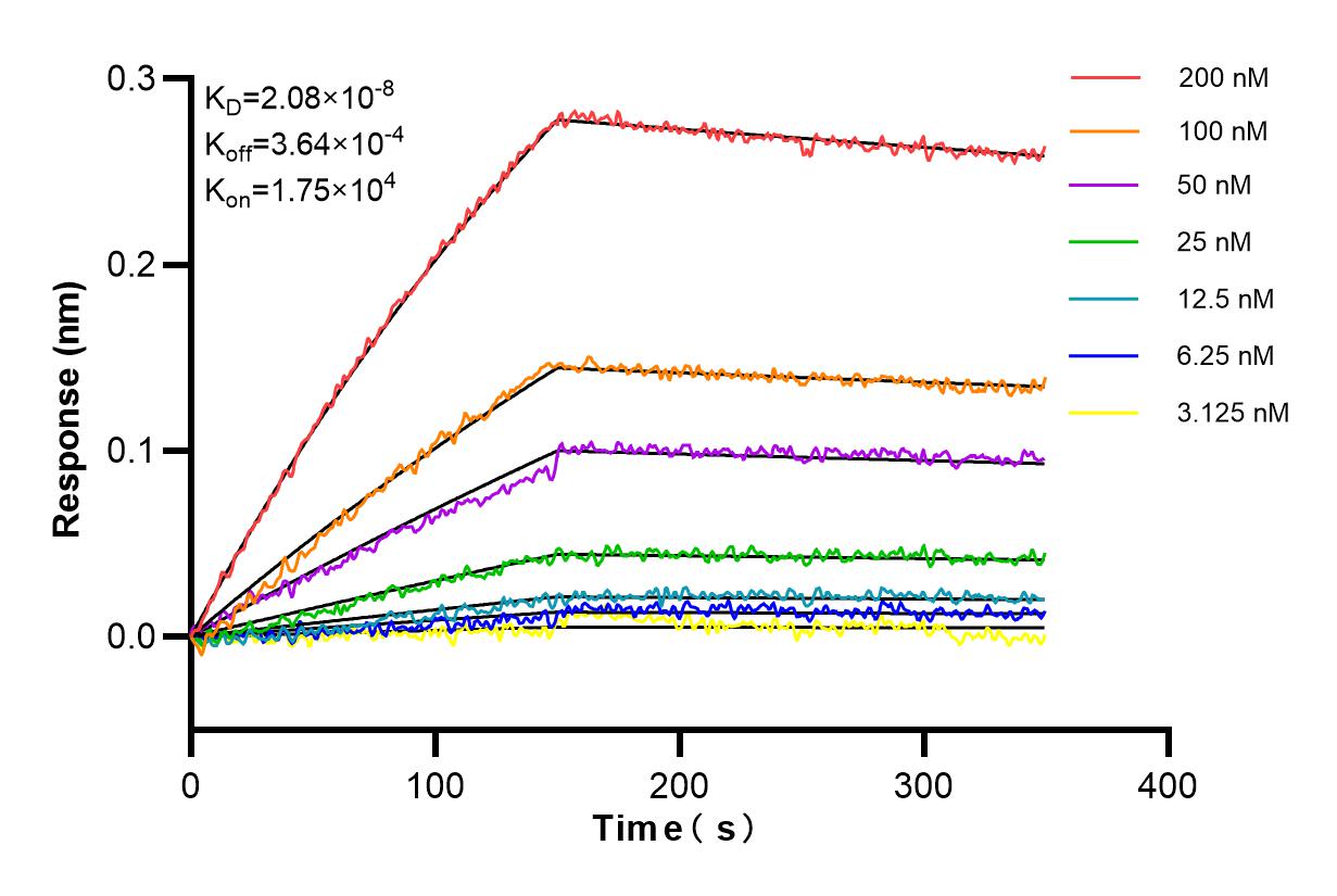 Affinity and Kinetic Characterization of 84236-4-RR