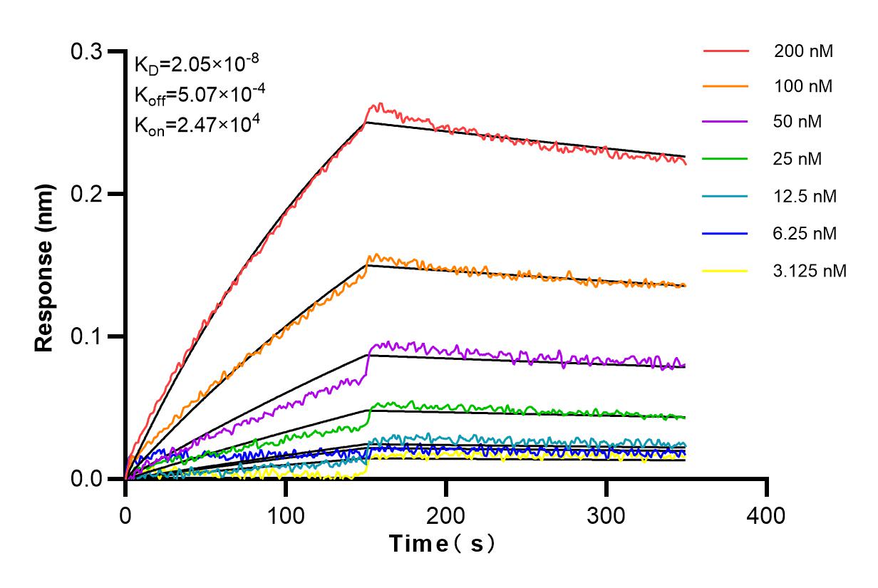 Affinity and Kinetic Characterization of 84243-5-RR