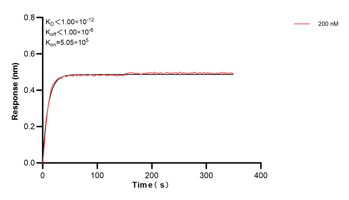 Affinity and Kinetic Characterization of 84246-1-PBS
