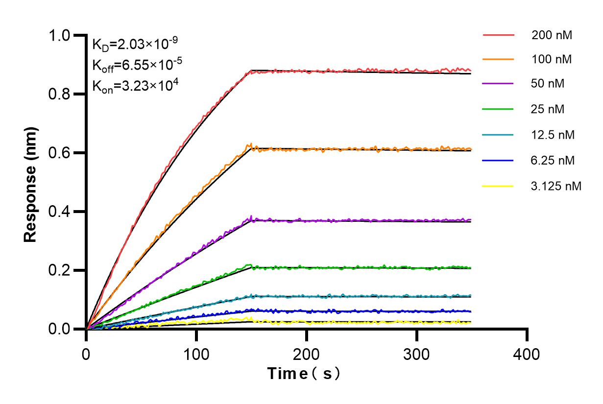 Affinity and Kinetic Characterization of 84248-4-RR