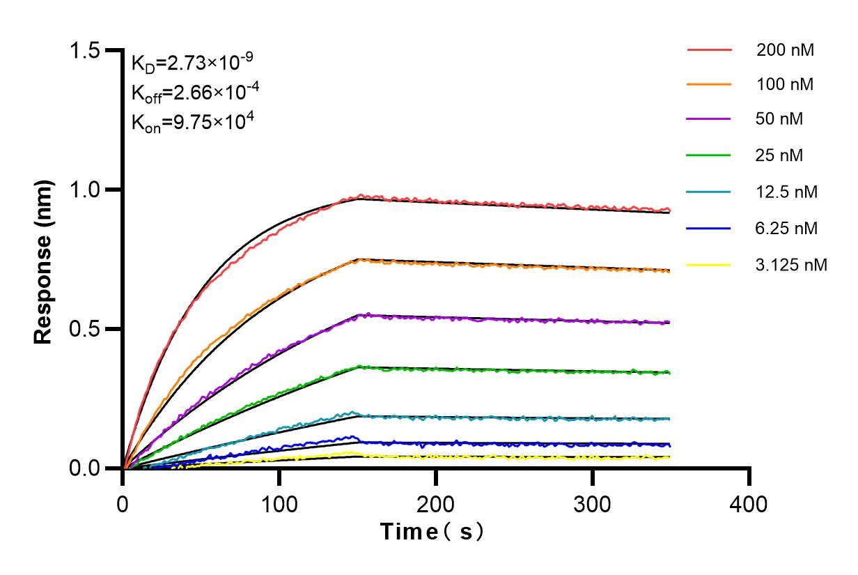 Affinity and Kinetic Characterization of 84255-6-RR