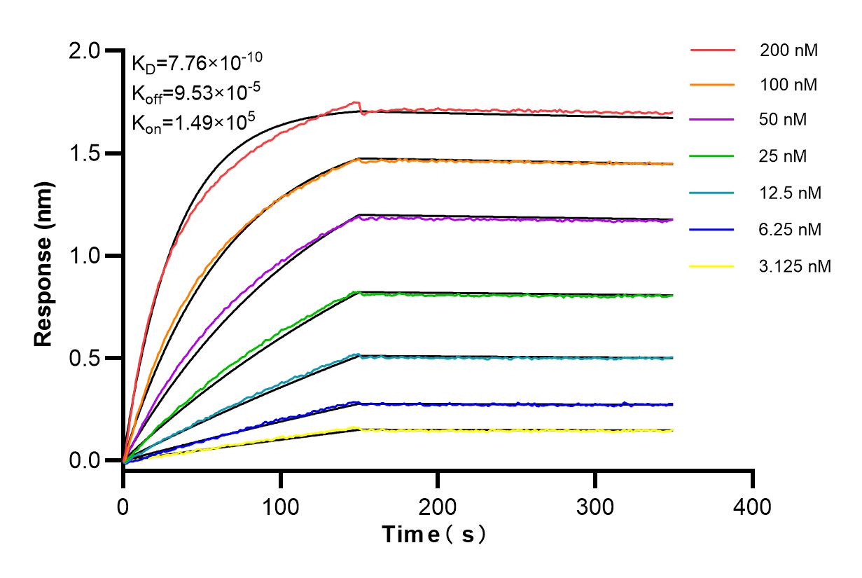 Affinity and Kinetic Characterization of 84258-7-RR