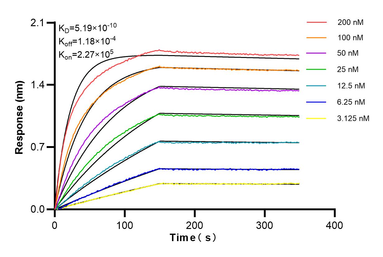 Affinity and Kinetic Characterization of 84259-3-RR