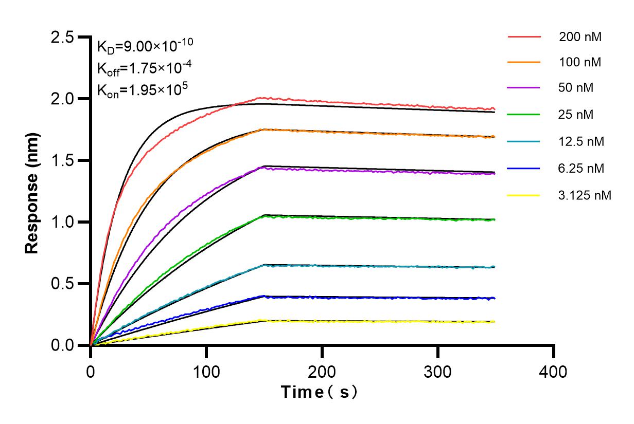 Affinity and Kinetic Characterization of 84259-5-RR