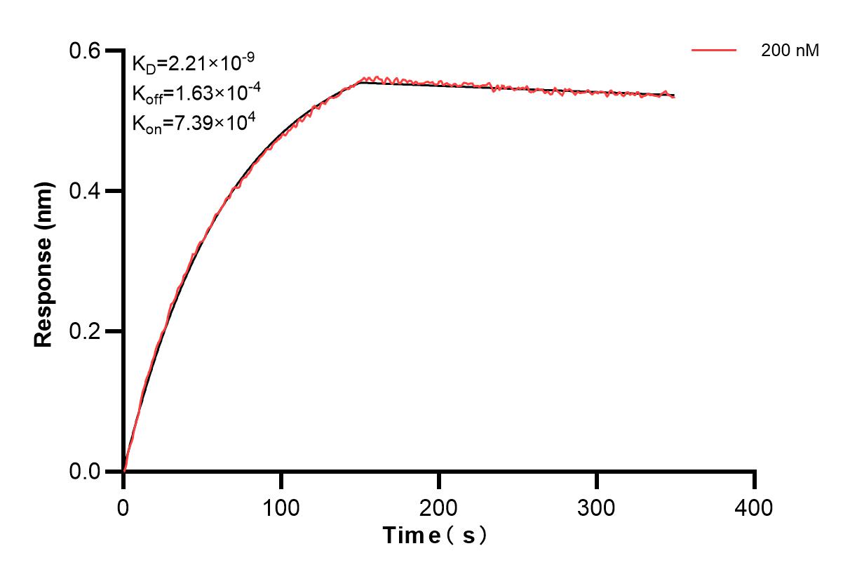 Affinity and Kinetic Characterization of 84259-6-PBS