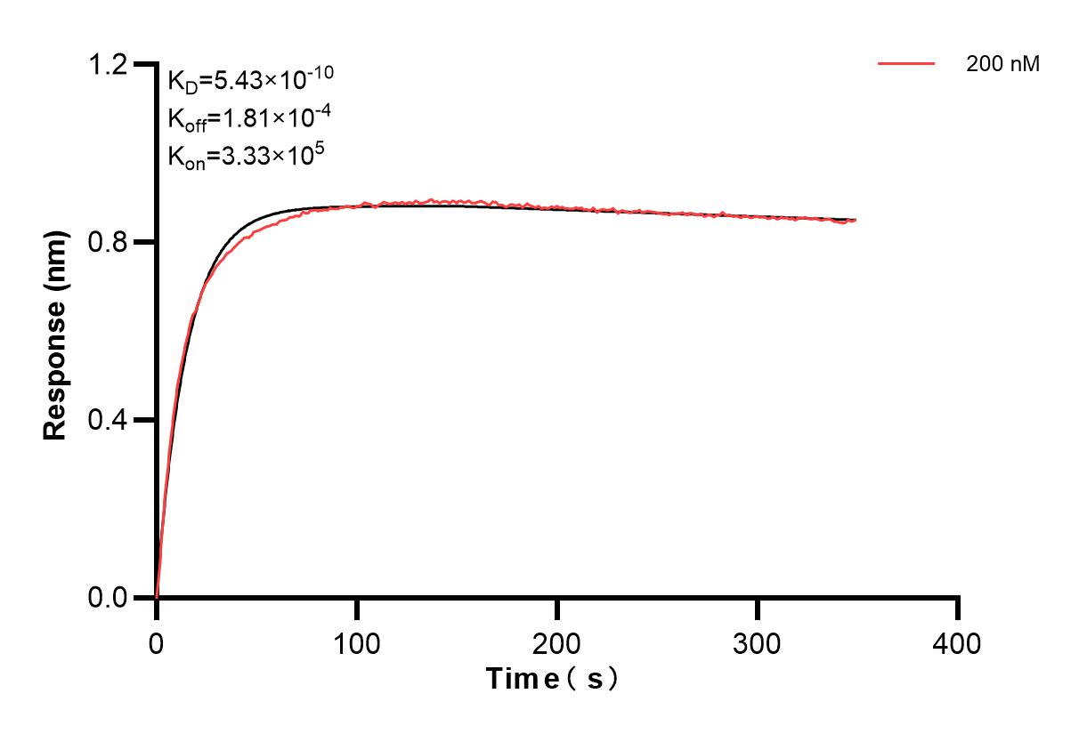 Affinity and Kinetic Characterization of 84259-8-PBS
