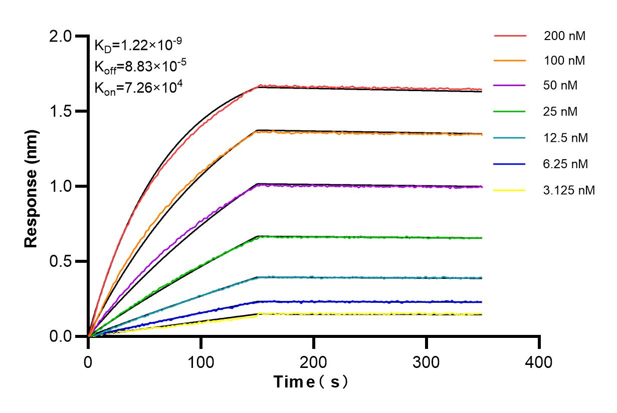 Affinity and Kinetic Characterization of 84263-5-RR