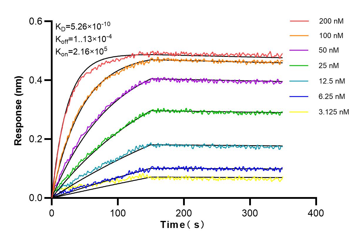 Affinity and Kinetic Characterization of 84272-1-RR