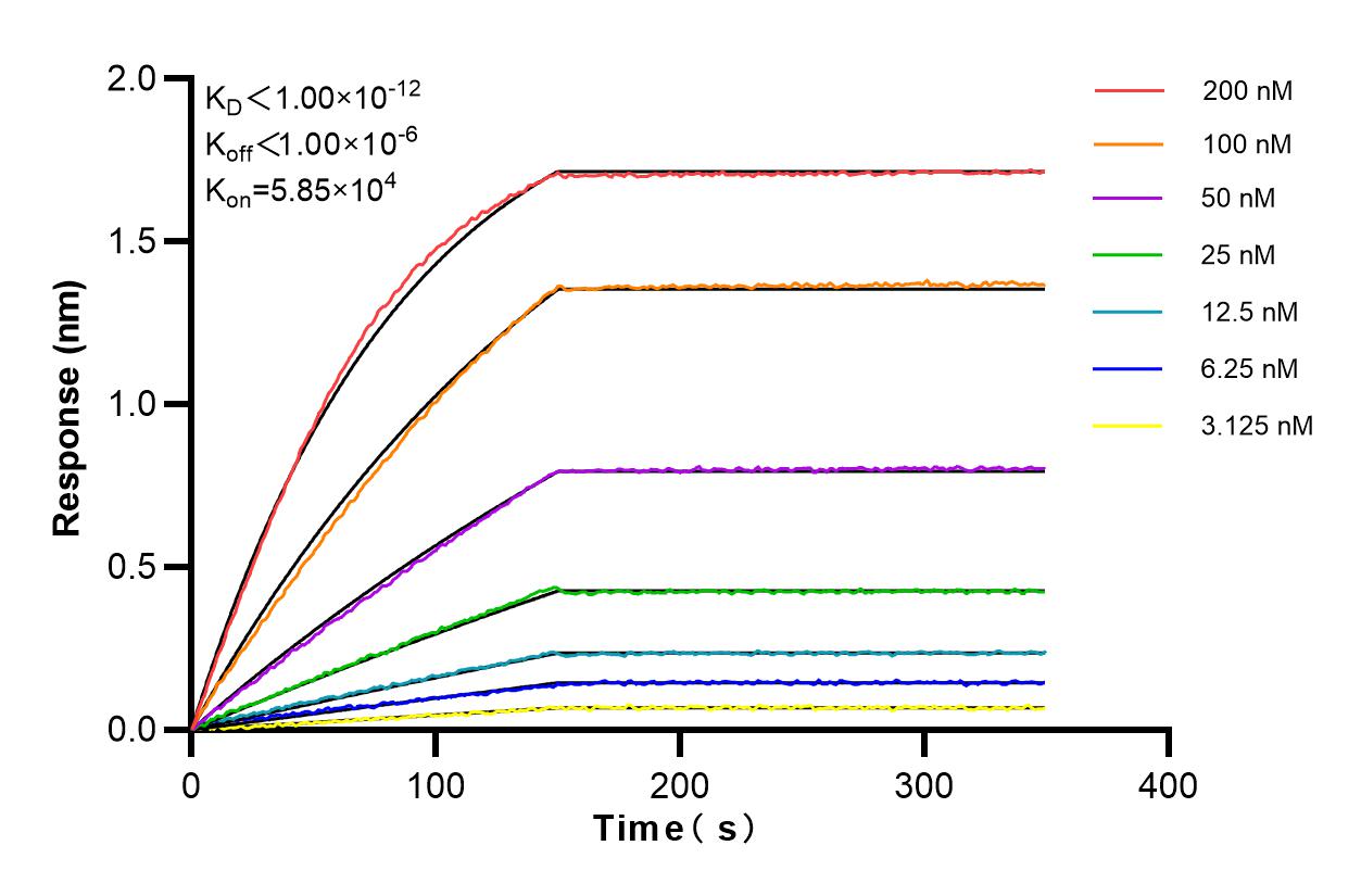 Affinity and Kinetic Characterization of 84278-5-RR