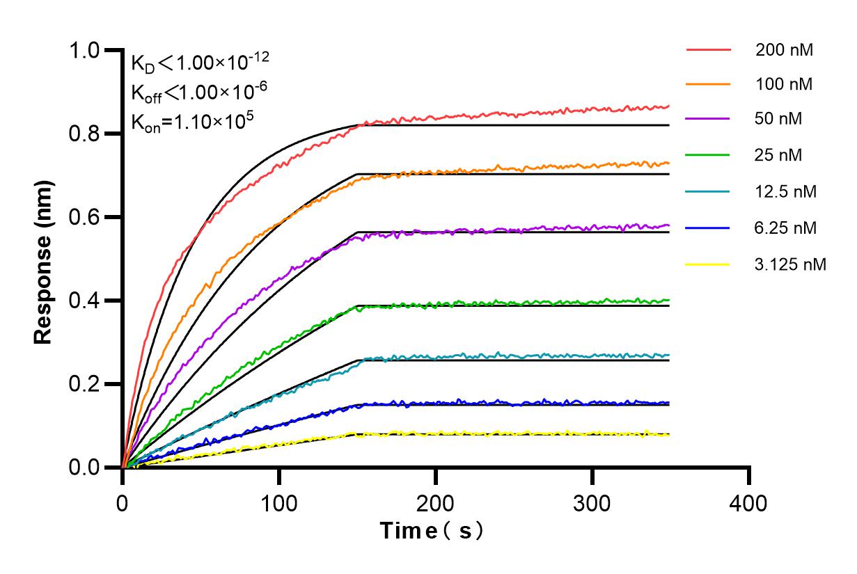 Affinity and Kinetic Characterization of 84283-5-RR