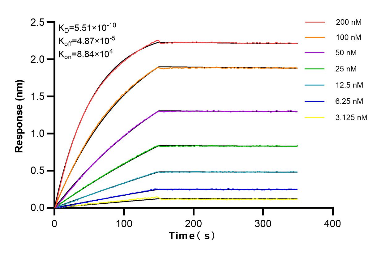 Affinity and Kinetic Characterization of 84290-6-RR