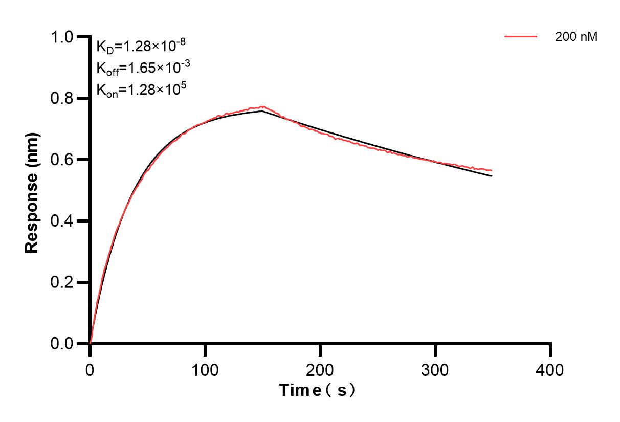 Affinity and Kinetic Characterization of 84292-1-PBS