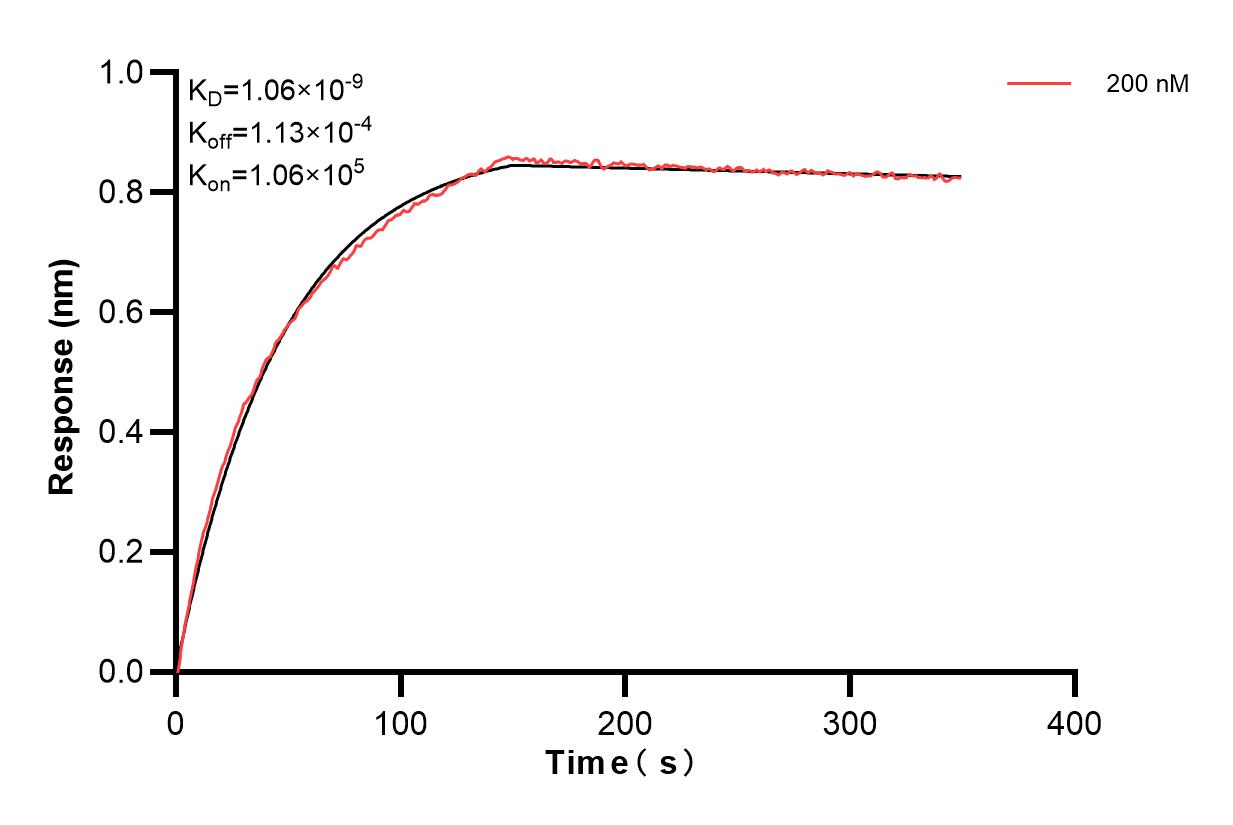 Affinity and Kinetic Characterization of 84292-3-PBS