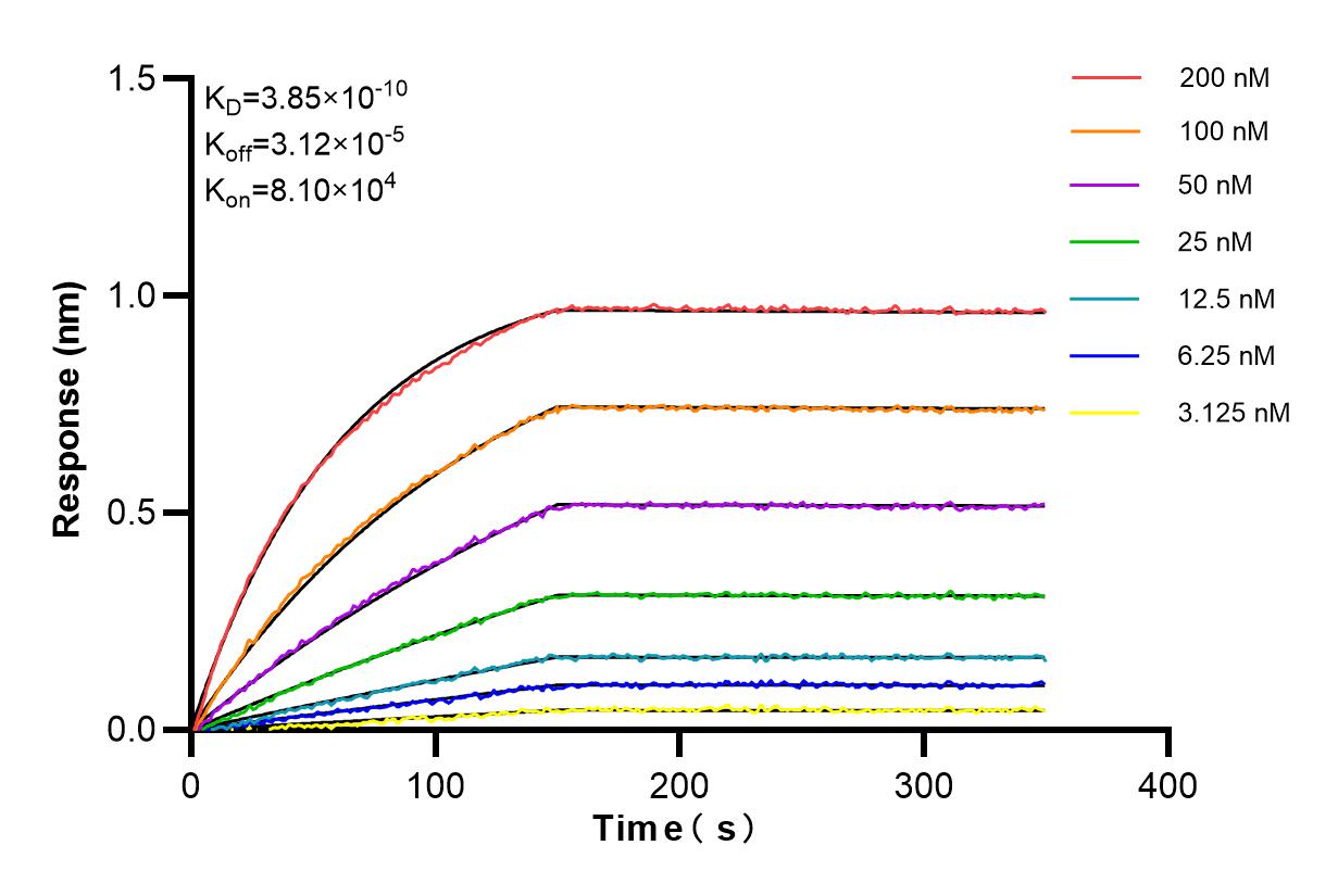 Affinity and Kinetic Characterization of 84292-4-RR